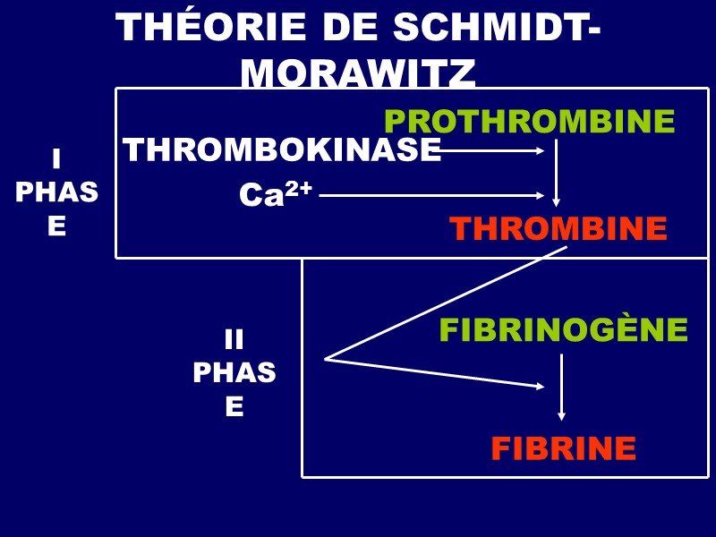 THÉORIE DE SCHMIDT- MORAWITZ